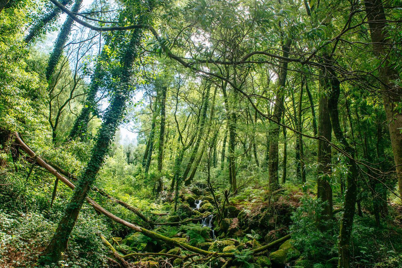 Quinta Do Rio Geres Βίλα Bouro Εξωτερικό φωτογραφία